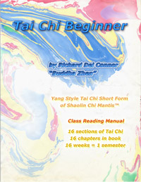 Tai Chi Beginner BOOK COVER now eBook also.