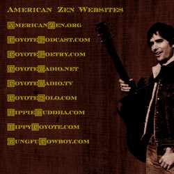 Coyote is Folk Rock Troubadour
