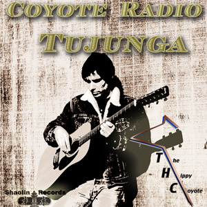 album cover of Coyote Radio Tujunga by THC 