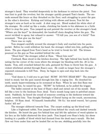 Sample page from SID'S PLACE novel.
